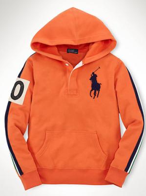 Cheap Ralph Lauren men's Hoodies wholesale No. 413